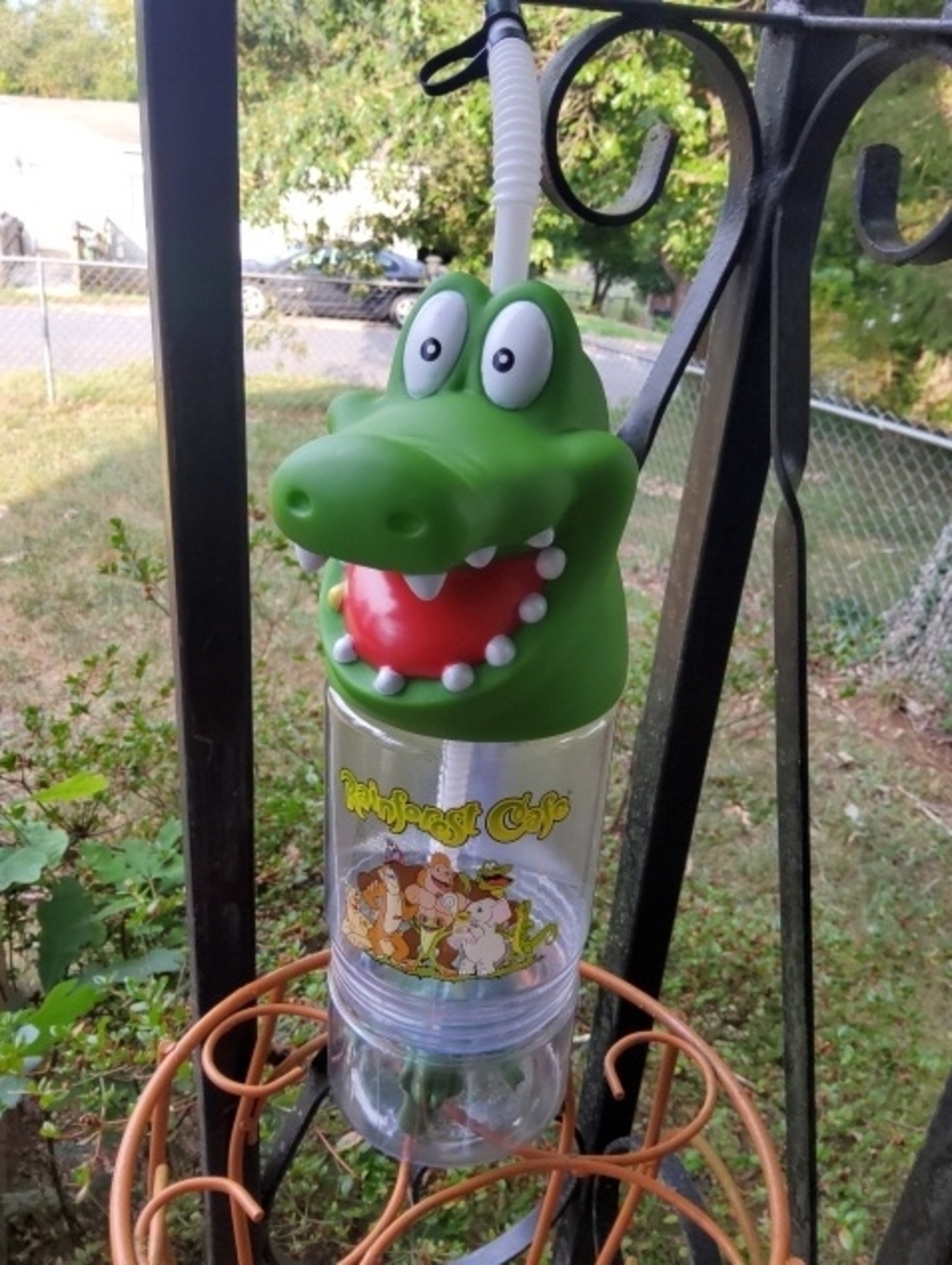 Rainforest Cafe Laguana Water Bottle.